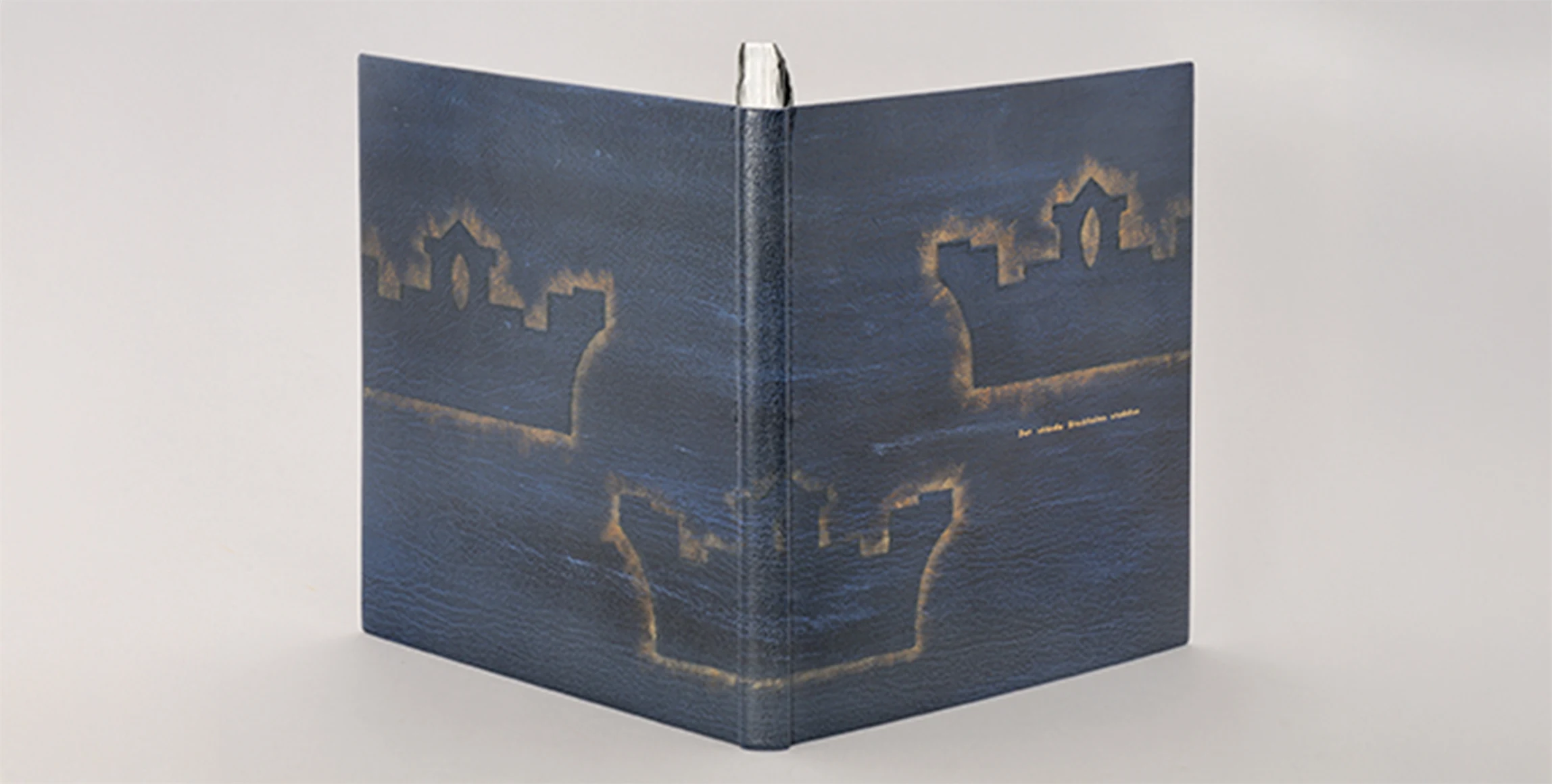 Bild på Mästarband 2008 av Annika Baudry.