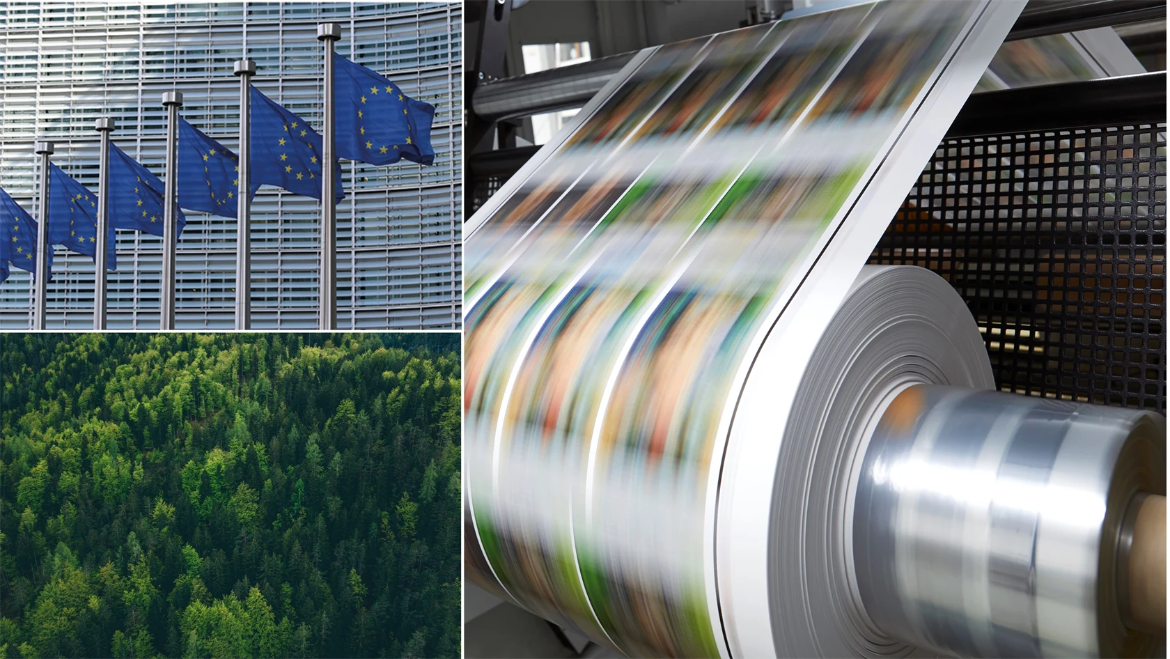 EU:s avskogningsförordning