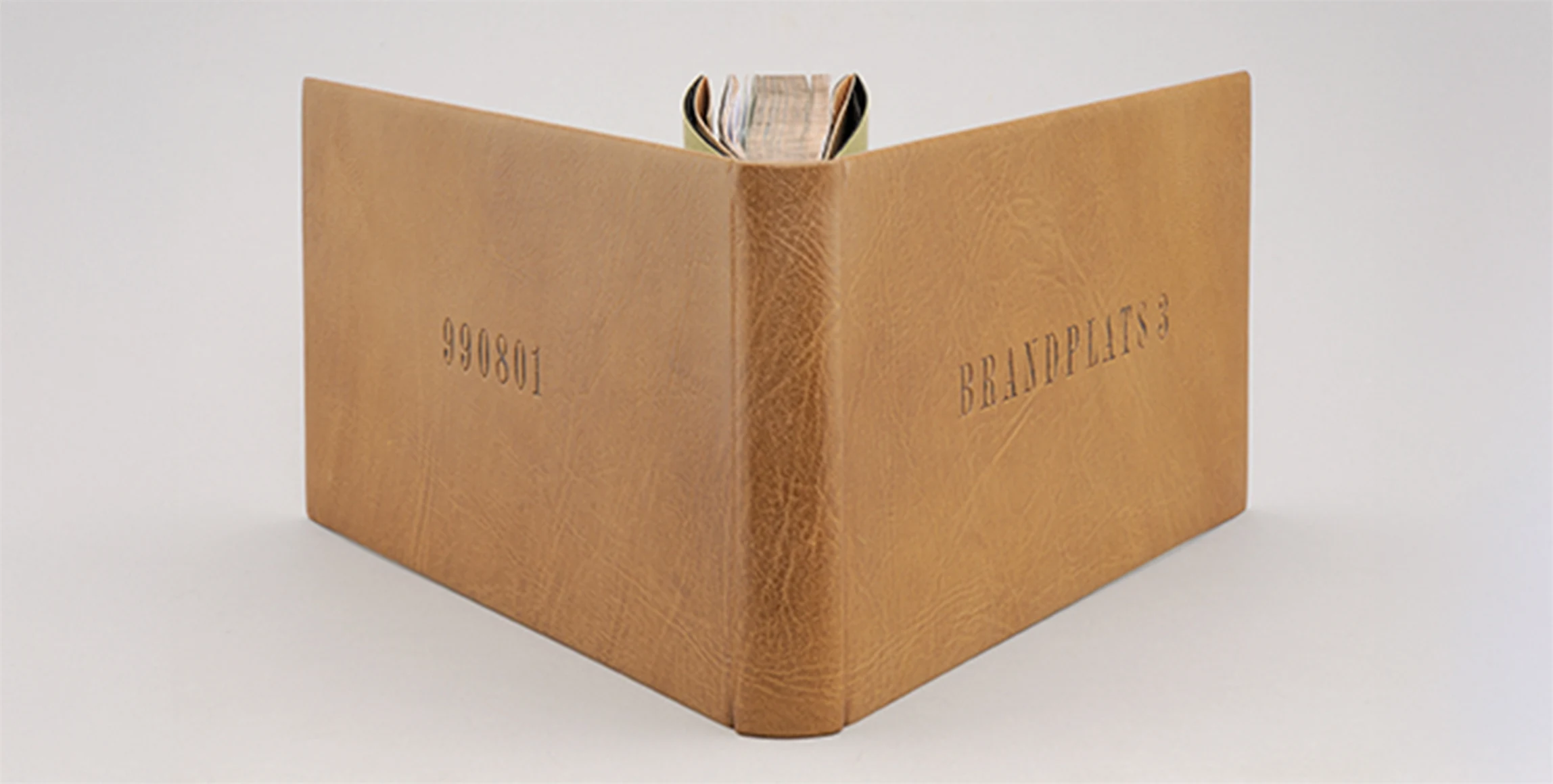 Bild på Mästarband 2013 av Carina Stockenberg.