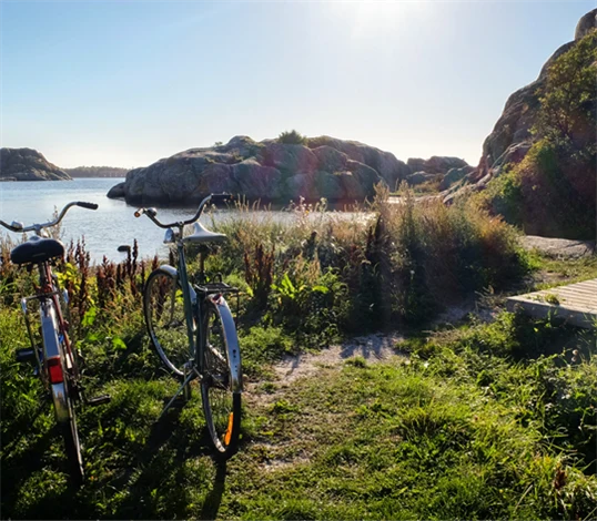 Somrig bild på två cyklar i skärgårdsmiljö.